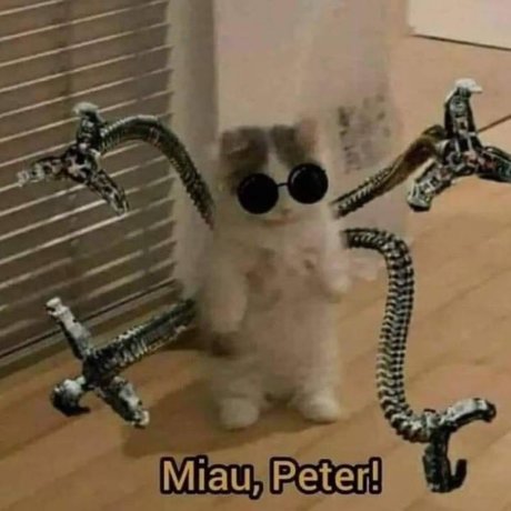 u63856170 beste top archiv