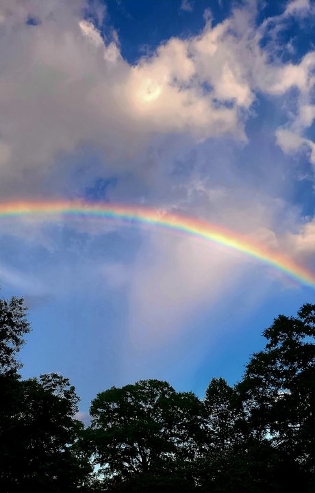 Phnx kostenlose pornografische bilder