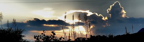 Matt Hollander erotische sex fotos