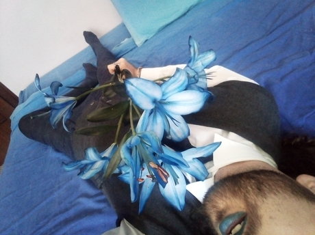 Dire Need xxx exklusive bilder