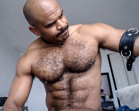 Mr Edir sexy porno galerien