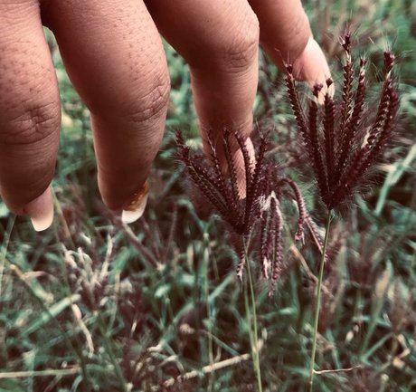 Totoro nacktheit exklusive bild