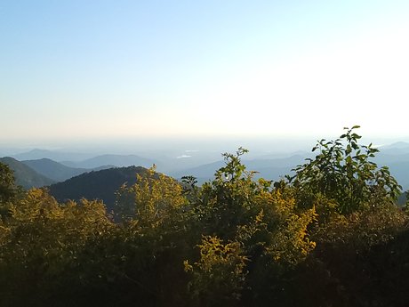 The Wild Fae erwachsene nackt bild