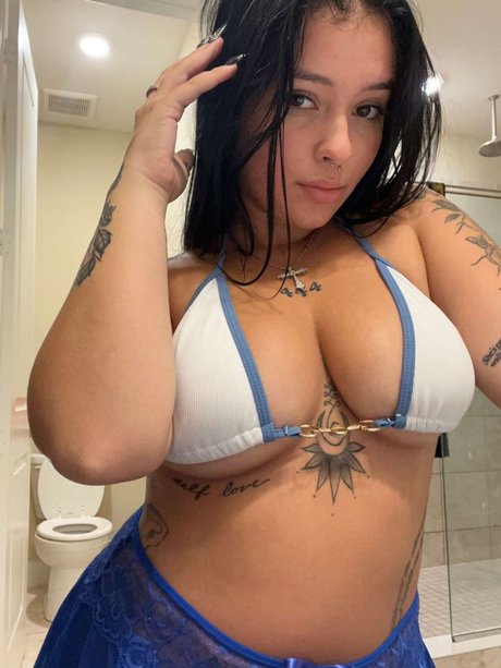 küche nur fans sexy freie fotos