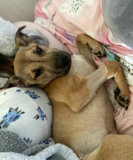 Fierceified hd nackt archiv