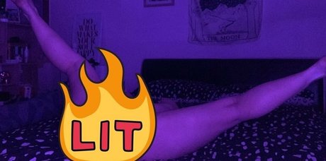 kätzchen nur fans freie hd fotos