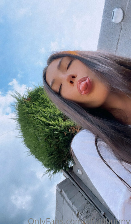 ebadbunny schöne perfekte galerie