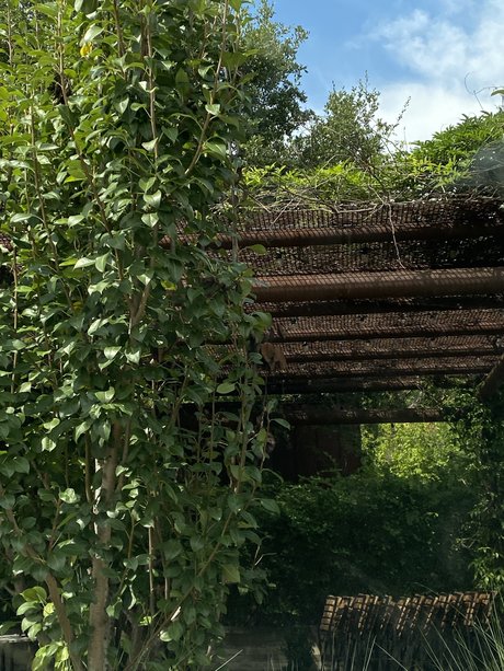 miko kunst erotische bild