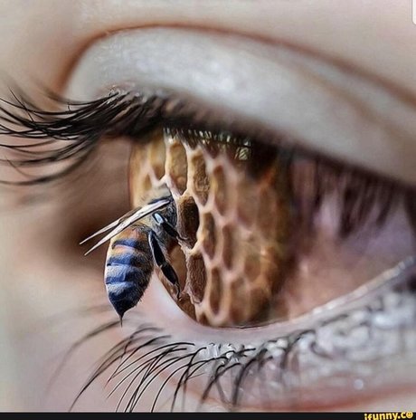 Toastmeister00 kunst nacktheit galerie