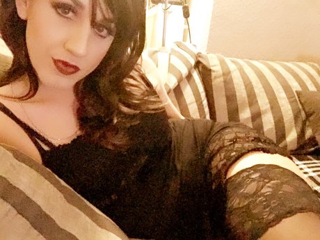 TransLea kostenlose perfekte bilder