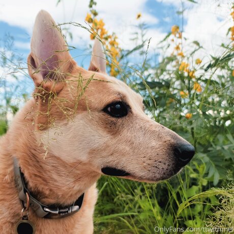 Topless talks with Mel heiße nacktheit galerie