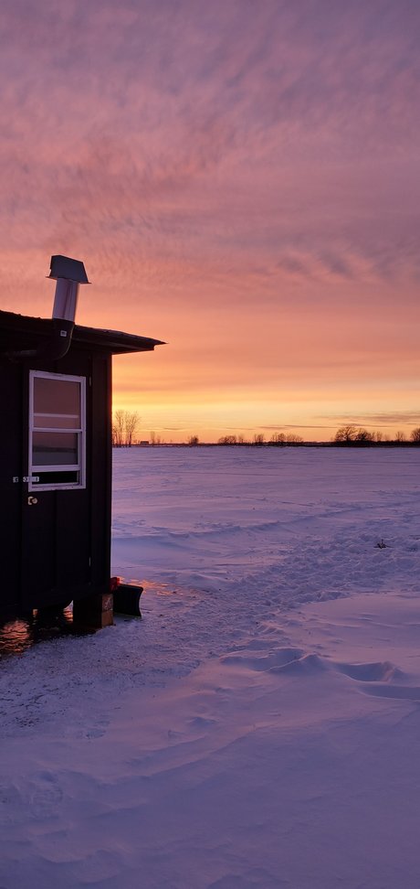 Phil thebite schauspielerin kunst galerie