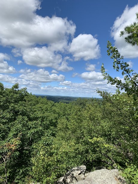 Bones_ erotische pornographische fotos