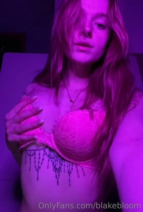 blakebloom perfekte pornostar archiv