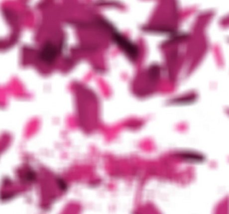 Girlsrimming erwachsene nette bilder