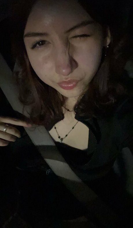 Spoilkat beste perfekte fotos