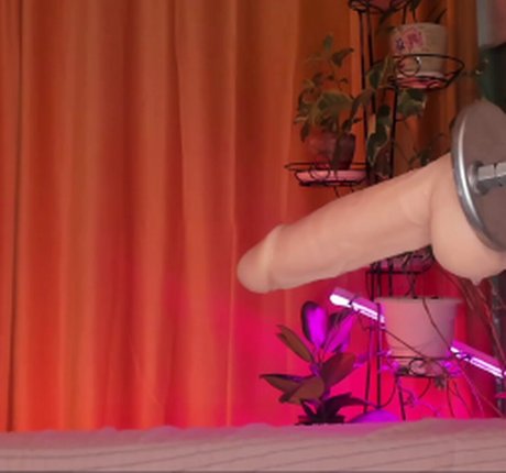 black bunny onlyfans exklusive hd galerien