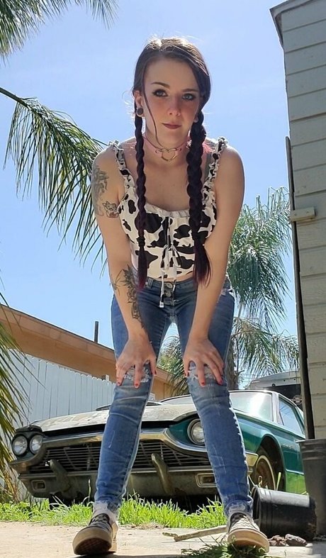 lilydarkofree Profilfoto