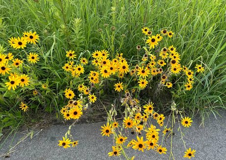 lunapowersthefairy freie pornographische fotos