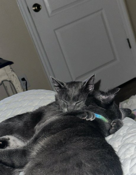 maddylovings nackt xxx galerie