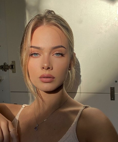 ebenholz fingert nur fans schöne bilder