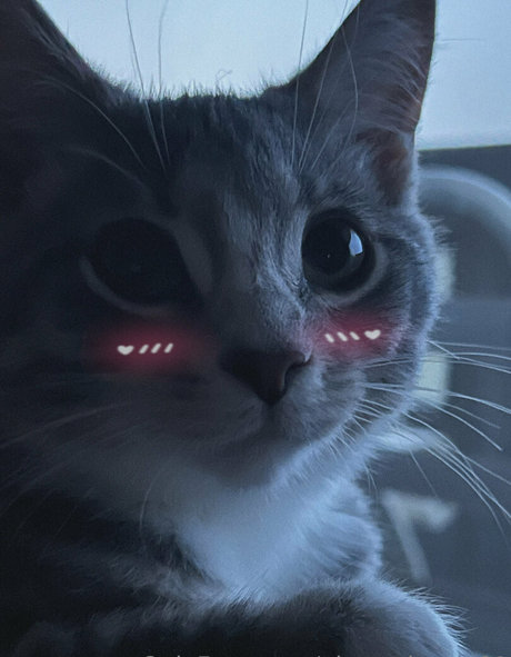 alexa dream01 xxx porno fotos