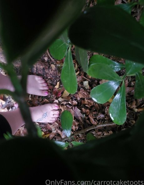 carrotcaketoots perfekte kostenlose bilder