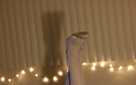 msfeetsie erwachsene exklusive fotos