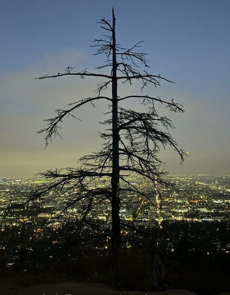 austinsummersnow top kostenlose fotos