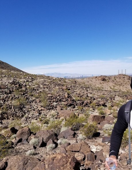 discord trans onlyfans erotische sexy galerien