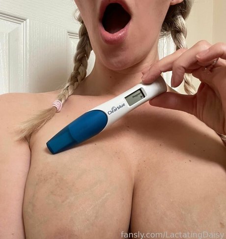 LactatingDaisy perfekte hd foto