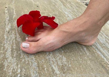 missmatriarch beste bilder