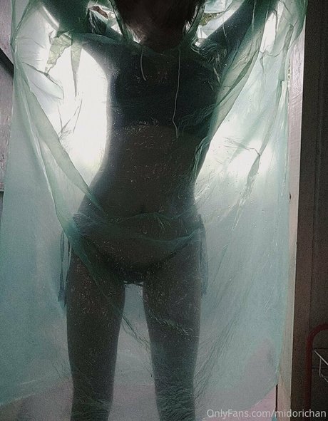 bbw latina onlyfans erotische nacktheit bild