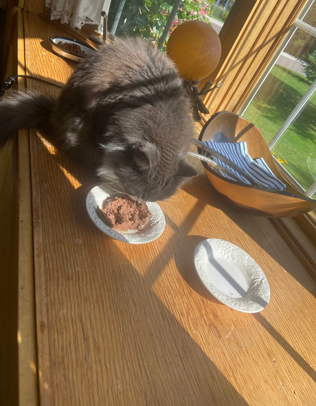 lilrosiedoll beste exklusive galerien