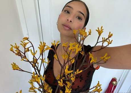 black bunny onlyfans perfekte nackten archiv