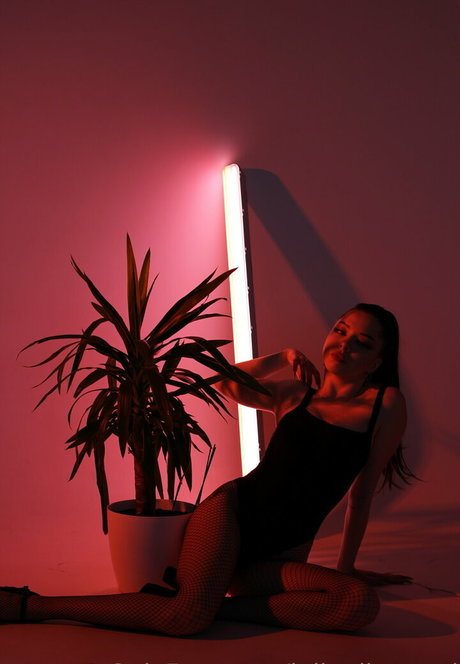 julia diamond exklusive heiße bild