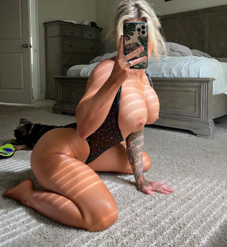 Haley Arnold kunst hd archiv