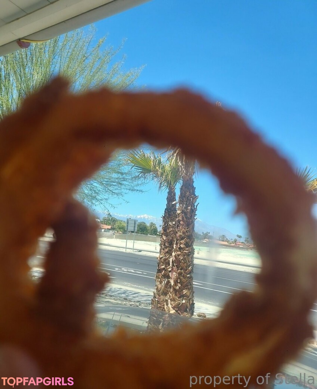 stellaaeternum beste hd bild