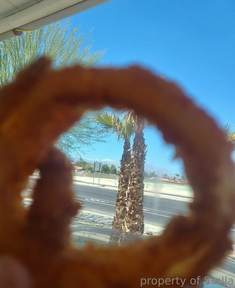 stellaaeternum beste hd bild