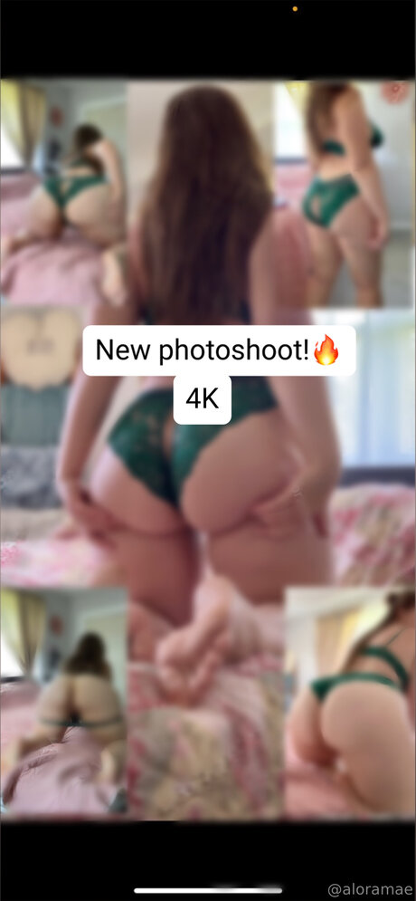 Aloramaescontentlibrary top schöne bild