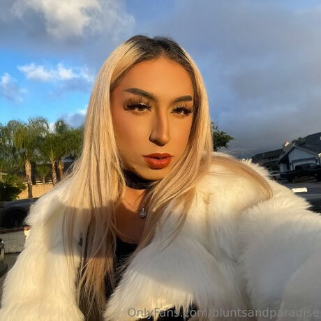 Bluntsandparadise freie hübsche bild