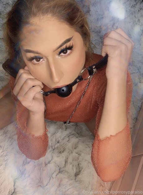 Bluntsandparadise perfekte hd foto