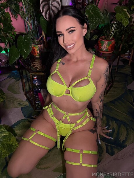 Moneybirdettevip top schöne galerien