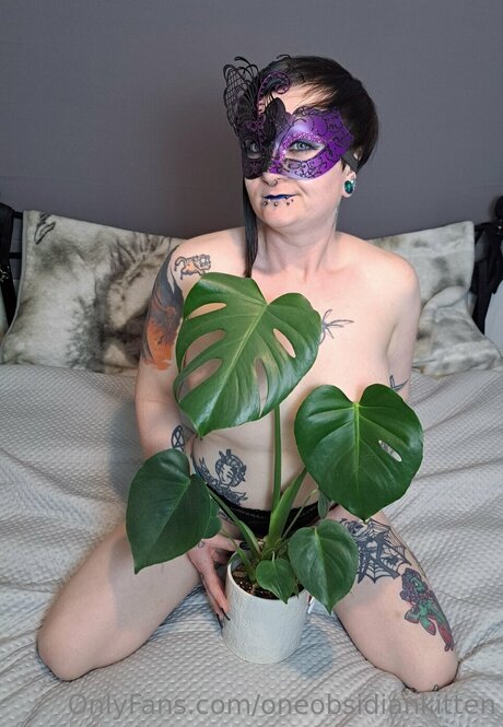 Oneobsidiankitten xxx archiv