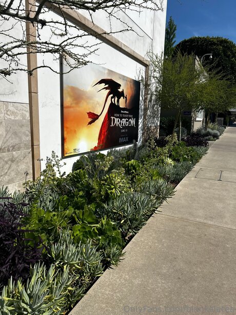 Blankslatee freie erotische foto