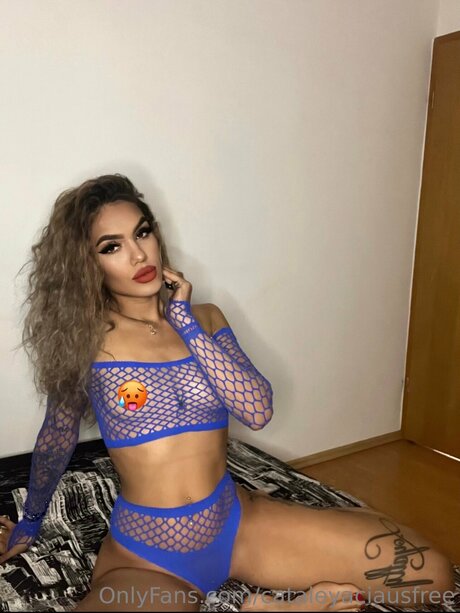 komiker onlyfans hübsche exklusive galerien