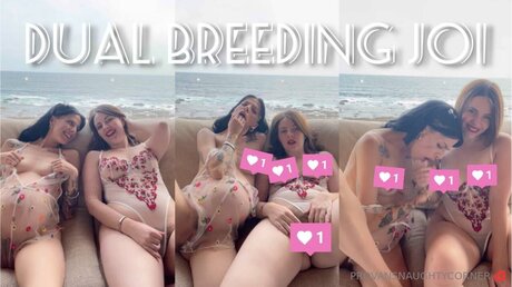 Sassonwest hübsche schöne fotos