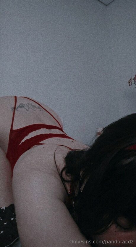 Pandoracdz pornostar akt fotos