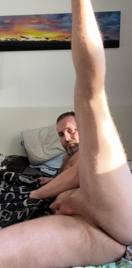 Danieldanndy kostenlose archiv