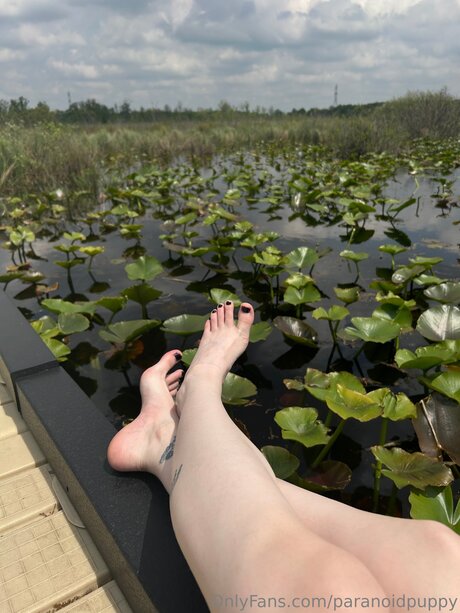 komiker onlyfans top schöne galerie